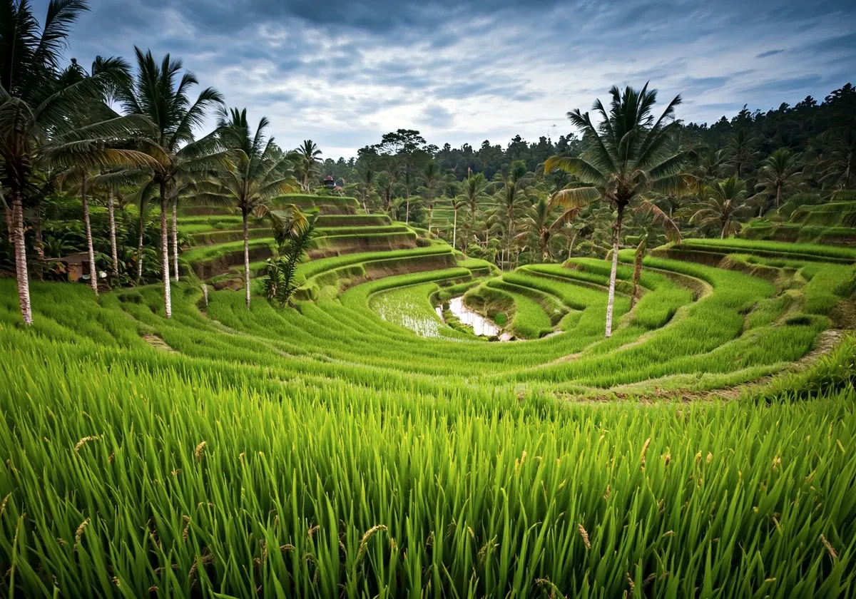 Indonezija (Bali)